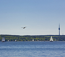 Blick über die Havel auf den Grunewald