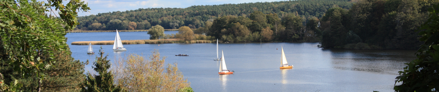 Segler auf der Havel